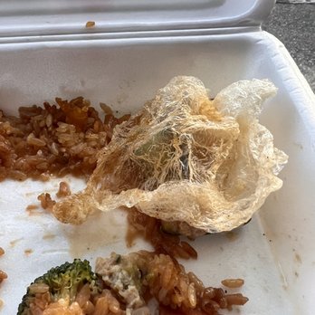 Samurai Sushi and Steakhouse - rice and broccoli in a styrofoam container - Japanese Near Me - Strongsville, Ohio Samurai Sushi and Steakhouse - rice and broccoli in a styrofoam container - Japanese Near Me - Strongsville, Ohio