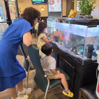 Tea Cup Cafe - Goldfish aquarium - Dim Sum Near Me - Sacramento, California Tea Cup Cafe - Goldfish aquarium - Dim Sum Near Me - Sacramento, California