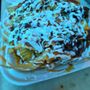Tacos La Esquina