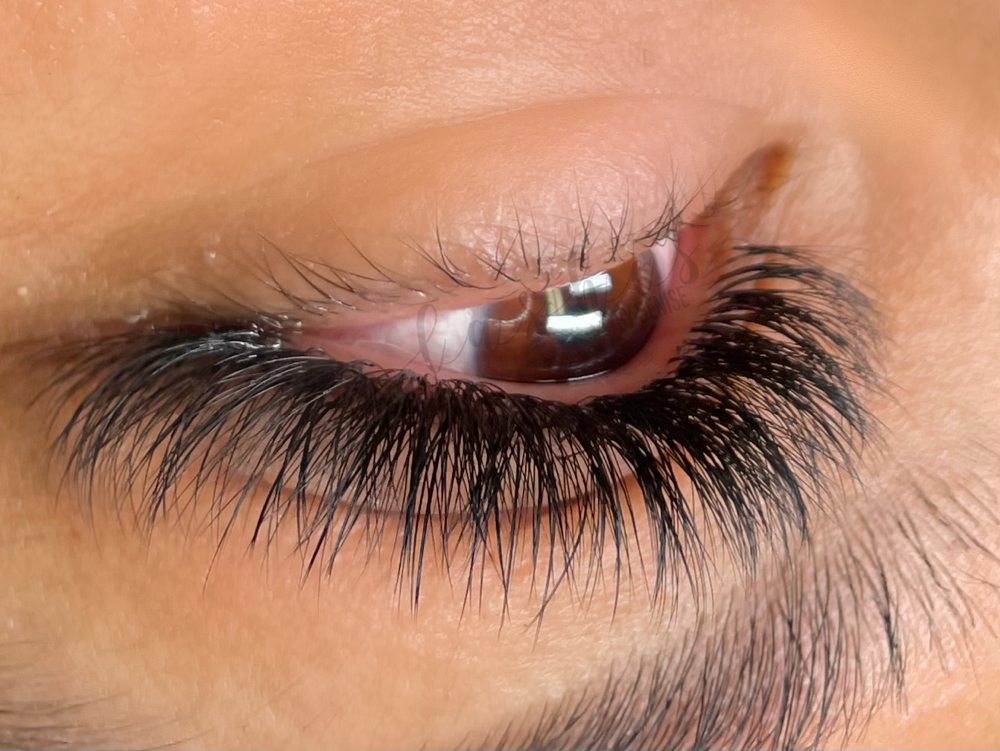 Lashes By Denise Logo