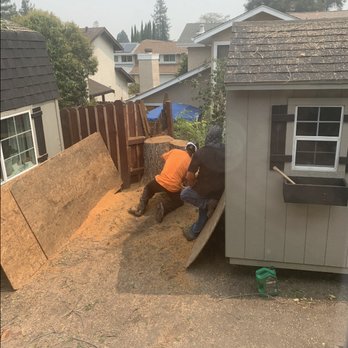 Mathers Tree Service - Tree Services Near Me Mathers Tree Service - Tree Services Near Me