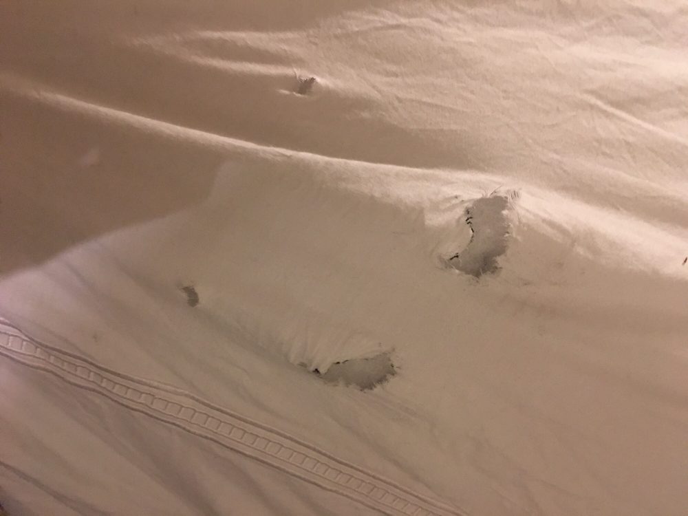 MCMAHAN CLEANERS Updated July 2024 16 Reviews 290 S Logan St