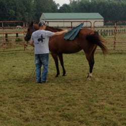 Pathfinder Stables & Sugar-Belle Farms - Horsemanship training with Rosie