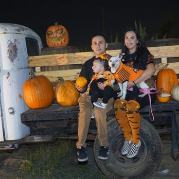 Frosty's Forest Pumpkin Patch - Photo op - Attraction Farms Near Me - Chino, California Frosty's Forest Pumpkin Patch - Photo op - Attraction Farms Near Me - Chino, California