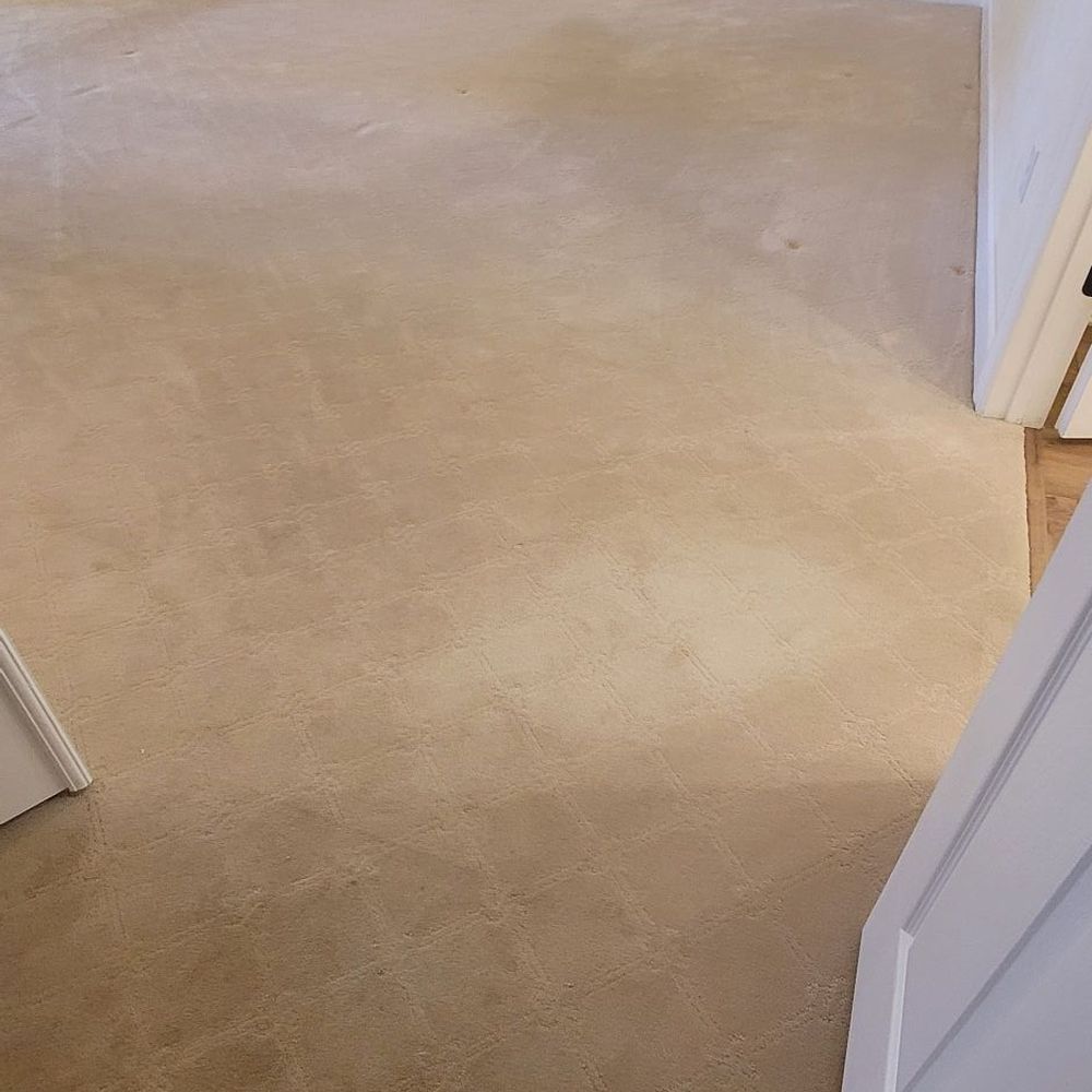Carpenter's Steam Cleaning - BEFORE - Master Bedroom - Carpet Cleaning Near Me