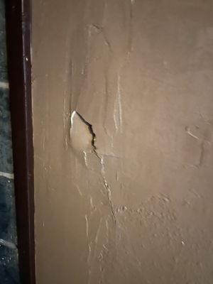 Basin Park Hotel by null