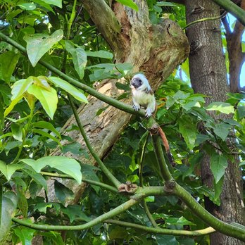 Auckland Zoo - Local Flavor Near Me - Auckland, AUK
