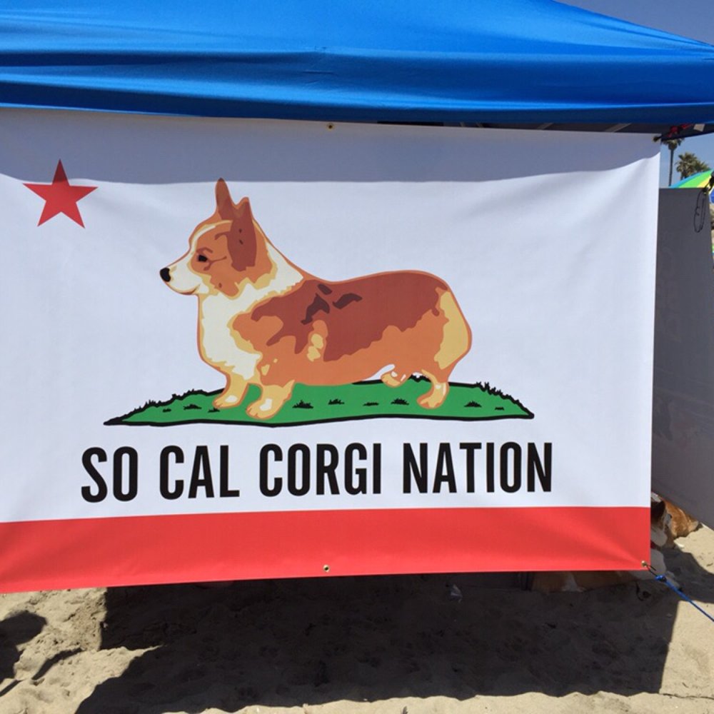So Cal Corgi Beach Day - Festivals Near Me - Huntington Beach, California