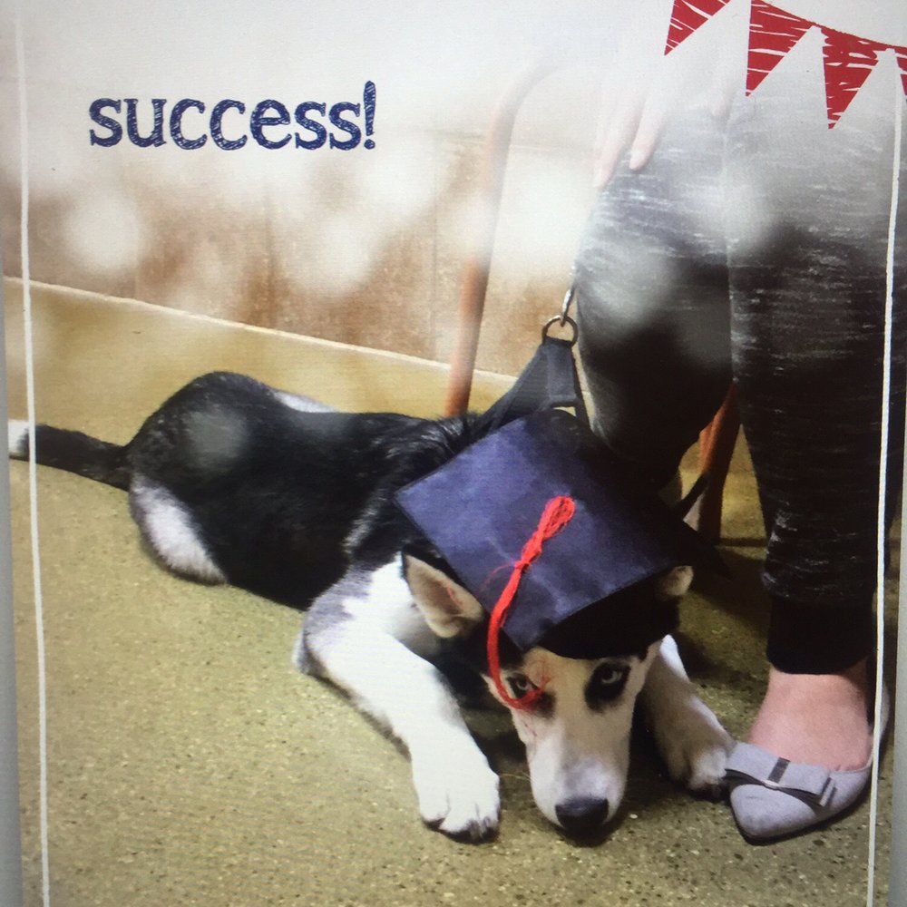 PetSmart - Congrats Ghost ! - Pet Training Near Me - Rosemead, California PetSmart - Congrats Ghost ! - Pet Training Near Me - Rosemead, California