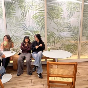 Ceré Tea - Inside the shop - tropical décor 7/5/26 - Coffee & Tea Near Me - Burlingame, California
