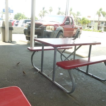 El Burrito - Scavenger Birds in Action - Mexican Near Me - Redlands, California