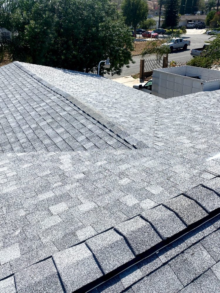 Slide of Dynamic Roofing Systems