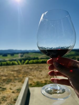 Resonance Vineyard by null