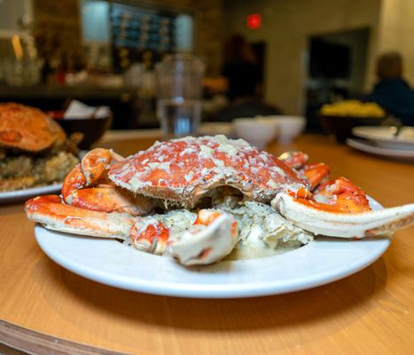 PPQ Dungeness Island - Millbrae by null