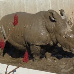 Bill in the mud. Bill in the mud.