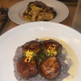 Scallops & lamb