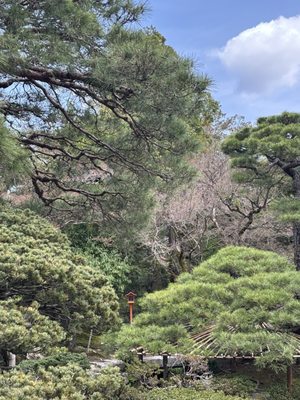 Kyoto Imperial Palace by null