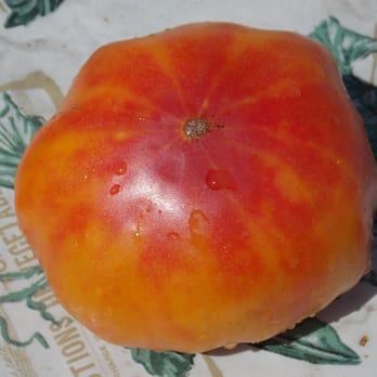 Angel Field Heirloom Tomatoes & Garden Seeds - Hawaiian Pineapples Tomato Seeds - Fruits & Veggies Near Me - Hampton, Virginia