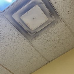 Urgent Care for Kids - Alliance - Mold and dust