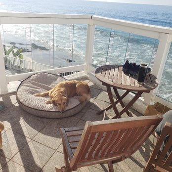 Capri Laguna - Pups taking a break form the beach - Hotels Near Me - Laguna Beach, California Capri Laguna - Pups taking a break form the beach - Hotels Near Me - Laguna Beach, California