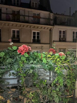 Hôtel Dupond-Smith by null