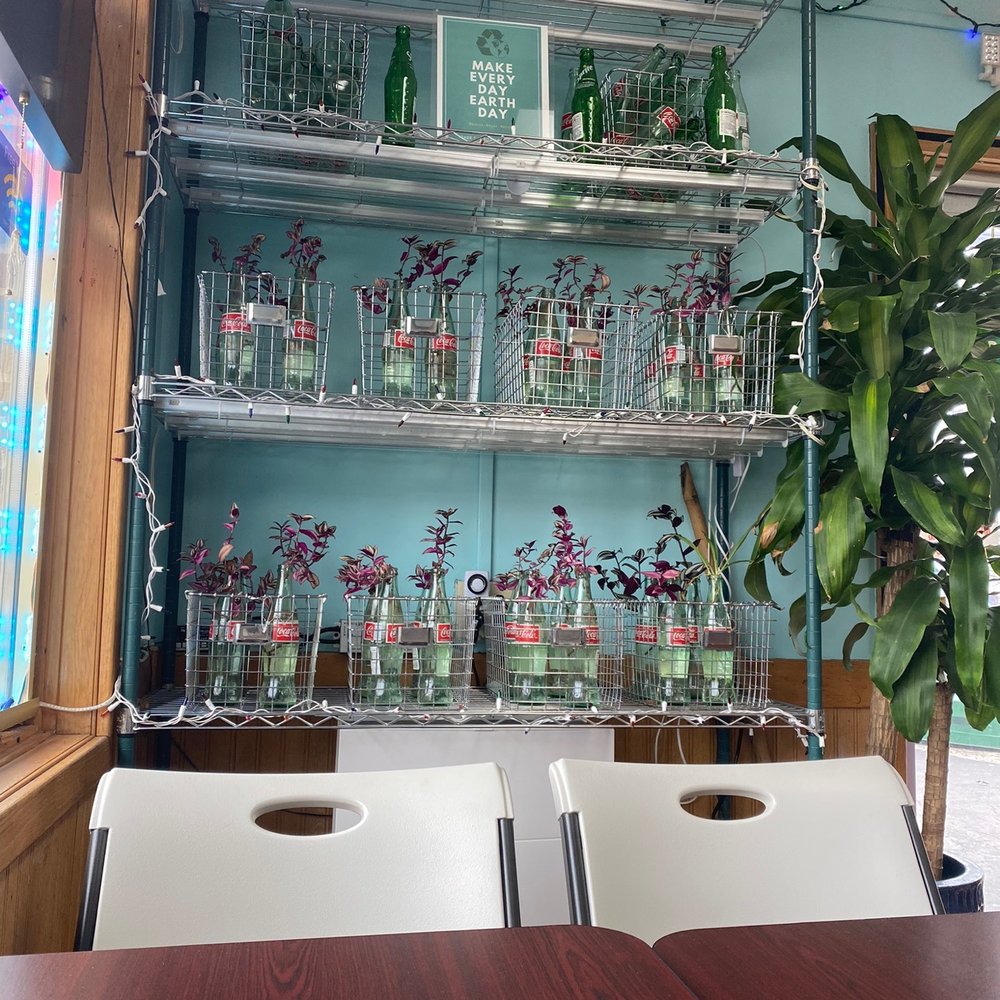 VEG-N - COKE-BOTTLED - (CANE SUGAR) - Vegan Near Me - Okemos, Michigan