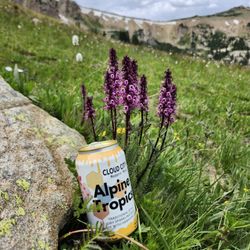 Cloud City Modern Mead - Take a hike. Bring mead.