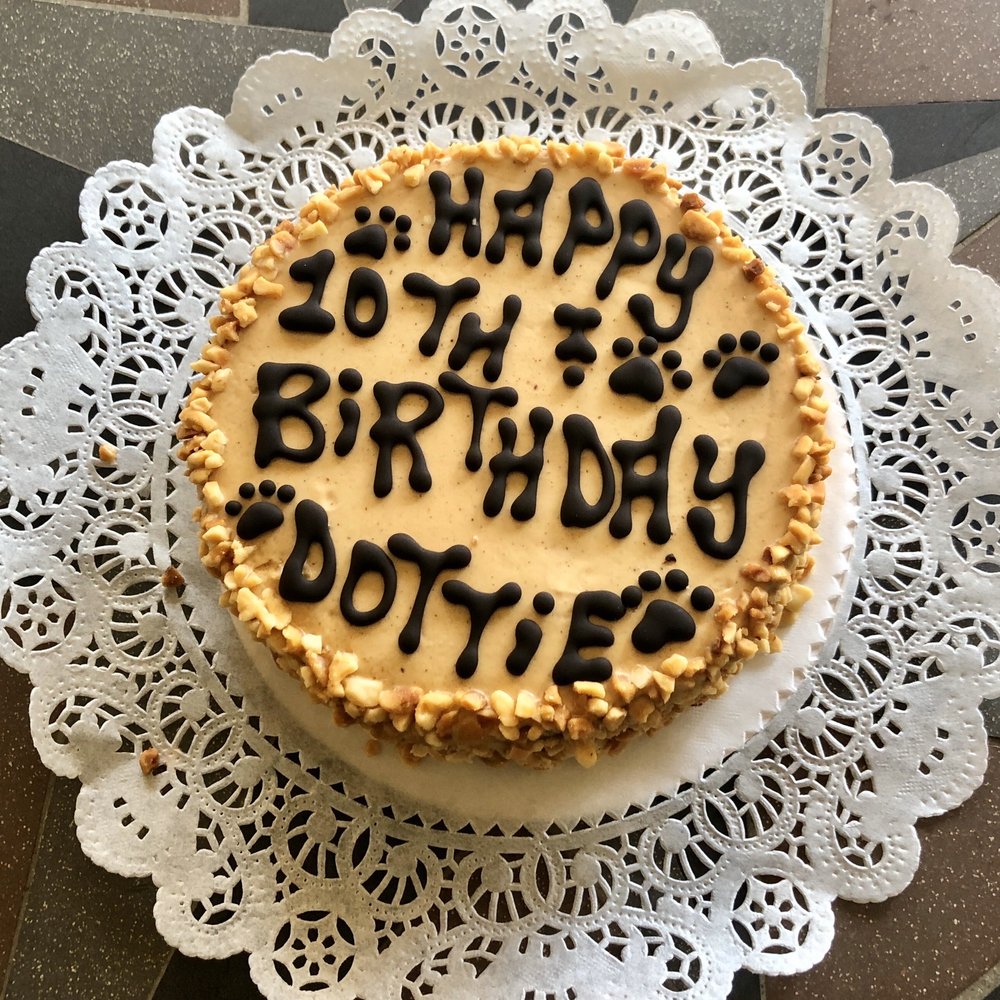 Wiggle Butts - Peanut Butter Cake w/crushed peanuts on the side! - Pet Stores Near Me - Arlington, Texas Wiggle Butts - Peanut Butter Cake w/crushed peanuts on the side! - Pet Stores Near Me - Arlington, Texas