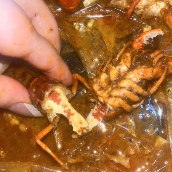 Crafty Crab - Literally disgusting, a pregnant crawfish in my seafood boil. Literally ruined my appetite. - Seafood Near Me - Alexandria, Virginia Crafty Crab - Literally disgusting, a pregnant crawfish in my seafood boil. Literally ruined my appetite. - Seafood Near Me - Alexandria, Virginia