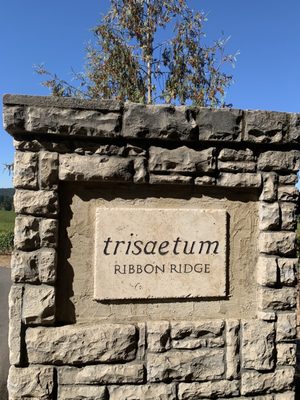 Trisaetum Winery by null