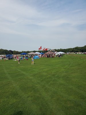Newport Polo by null