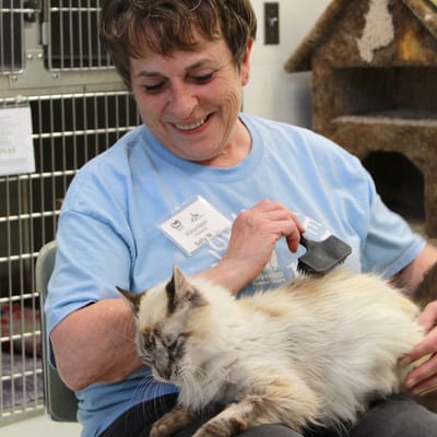 Greenhill Humane Society, SPCA