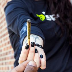 Dispo - Dispo Medical & Recreational Dispensary Bay City South