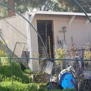 Komplete Klean Out - Shed - BEFORE - Junk Removal & Hauling Near Me Komplete Klean Out - Shed - BEFORE - Junk Removal & Hauling Near Me