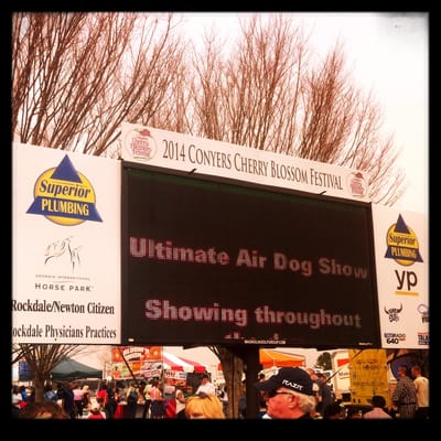 Georgia International Horse Park by null