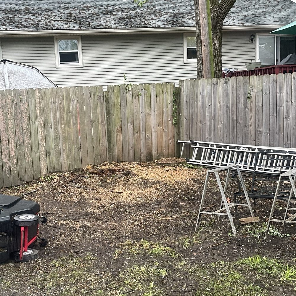 Widmers Tree Service - After photo - Tree Services Near Me Widmers Tree Service - After photo - Tree Services Near Me