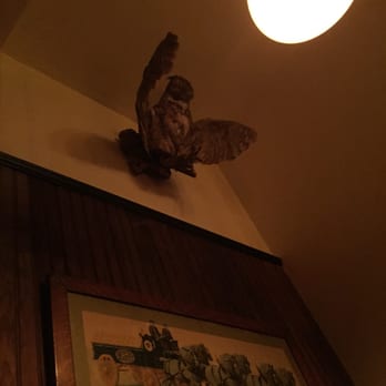 The Spotted Owl Tavern - The namesake - Gastropubs Near Me - New York, New York The Spotted Owl Tavern - The namesake - Gastropubs Near Me - New York, New York