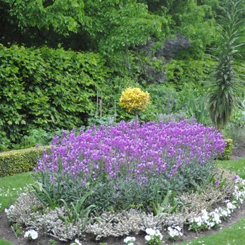 The Regent's Park - Parks Near Me - London, XGL