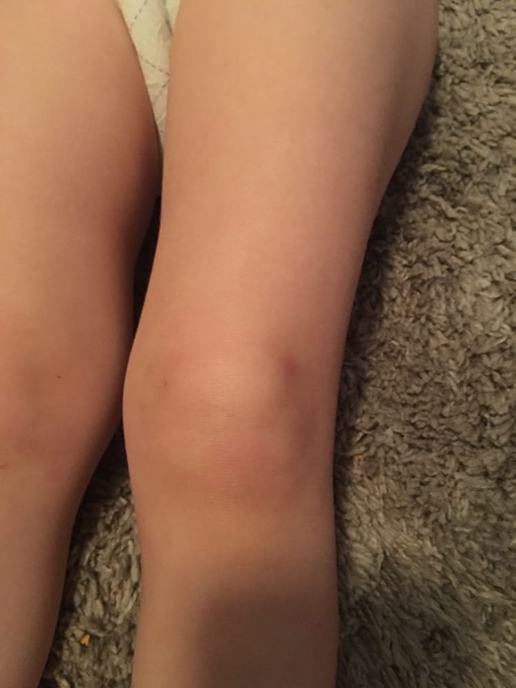 Wonder Land - childcare center in Sugar Land, TX