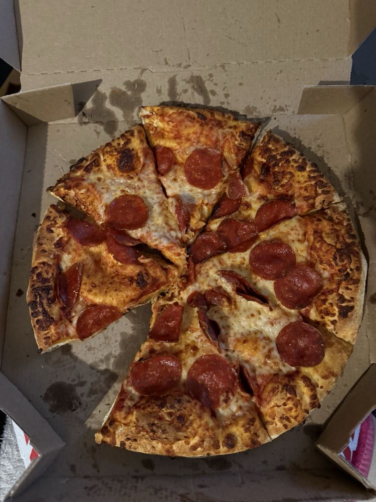 Domino's Pizza Logo