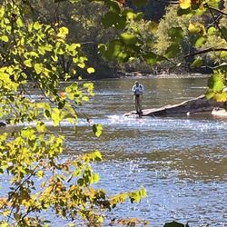 Walnut Island River Park - Fly fisherman, fly!