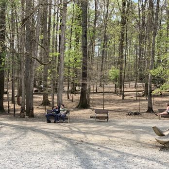 Brook Run Dog Park - Dog Parks Near Me - Dunwoody, Georgia