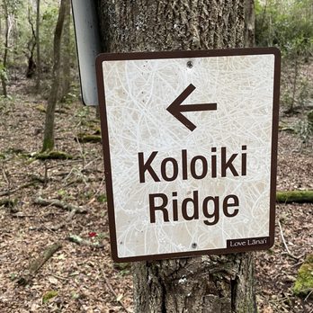 Koloiki Trail - Hiking Near Me Koloiki Trail - Hiking Near Me