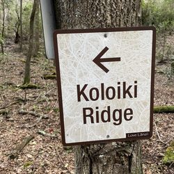 Koloiki Trail