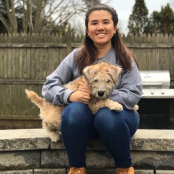 Pawsitively Waggin' Academy - Pet Training Near Me Pawsitively Waggin' Academy - Pet Training Near Me