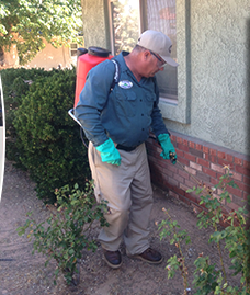 RESIDENTIAL AND COMMERCIAL PEST CONTROL SERVICES - A home or a commercial establishment is a huge investment. Therefore, as an owner, you want to protect it from damaging elements so that these will last as long as possible. At Forest Pest Control, we can make that happen! For 18 years, we have been providing exceptional pest control services throughout Apple Valley, Victorville, Hesperia and surrounding High Desert areas.
RESIDENTIAL PEST CONTROL
Pests in the home can be a threat not only to the integrity of the structure, but also the health of the family. These are a major nuisance - they can bite, sting, and cause a whole lot of trouble that is downright infuriating. With our residential pest control services, we can assure you pest-free living for as long as you want. We employ a variety of solutions for some of the most common pests that lurk your homes - rodents, roaches, fleas, ticks, bedbugs and more!
COMMERCIAL PEST CONTROL
We are your reliable partner in keeping your commercial business free of pests that are a risk to your success. Certainly, you do not want your clients to be welcomed by roaches, flies, rodents, and other crawling and flying insects because this will eventually cost you your valued clientele. Forest Pest Control serves a variety of facilities such as buildings, offices, medical facilities, food establishments and other commercial establishments. RESIDENTIAL AND COMMERCIAL PEST CONTROL SERVICES - A home or a commercial establishment is a huge investment. Therefore, as an owner, you want to protect it from damaging elements so that these will last as long as possible. At Forest Pest Control, we can make that happen! For 18 years, we have been providing exceptional pest control services throughout Apple Valley, Victorville, Hesperia and surrounding High Desert areas.
RESIDENTIAL PEST CONTROL
Pests in the home can be a threat not only to the integrity of the structure, but also the health of the family. These are a major nuisance - they can bite, sting, and cause a whole lot of trouble that is downright infuriating. With our residential pest control services, we can assure you pest-free living for as long as you want. We employ a variety of solutions for some of the most common pests that lurk your homes - rodents, roaches, fleas, ticks, bedbugs and more!
COMMERCIAL PEST CONTROL
We are your reliable partner in keeping your commercial business free of pests that are a risk to your success. Certainly, you do not want your clients to be welcomed by roaches, flies, rodents, and other crawling and flying insects because this will eventually cost you your valued clientele. Forest Pest Control serves a variety of facilities such as buildings, offices, medical facilities, food establishments and other commercial establishments.