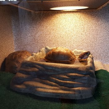 Hurstville Interpretive Center - Live animals - Visitor Centers Near Me - Maquoketa, Iowa Hurstville Interpretive Center - Live animals - Visitor Centers Near Me - Maquoketa, Iowa
