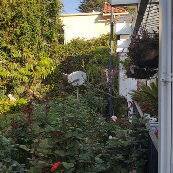 Vero's Tree Service - Tree Services Near Me - Simi Valley, California