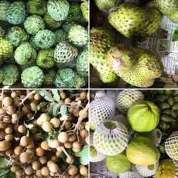 Vietnamese Fresh Fruits