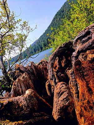 Rattlesnake Lake by null